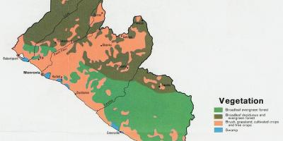 Karta av vegetation karta över Liberia